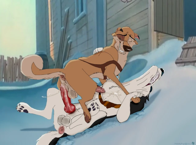 balto+chinook+kaltag+steele