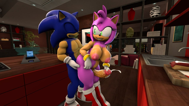 amy rose+sonic the hedgehog