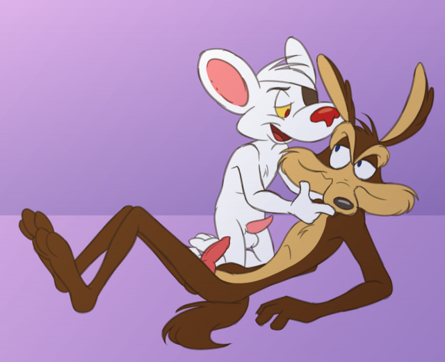 danger mouse+wile e. coyote