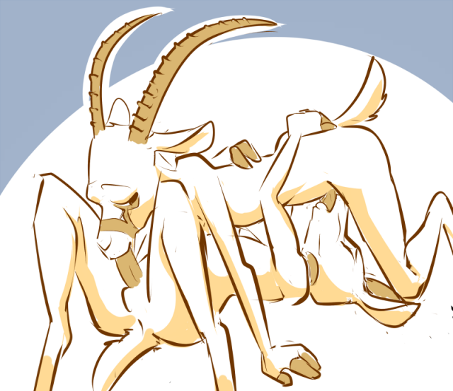 bucky oryx-antlerson+pronk oryx-antlerson