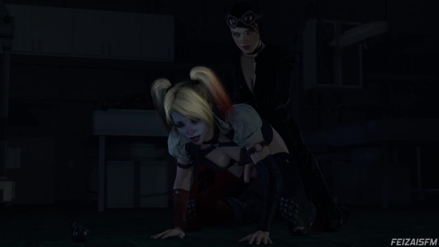 catwoman+harley quinn+selina kyle