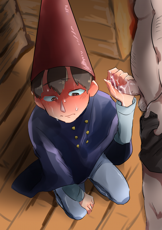 wirt (otgw)