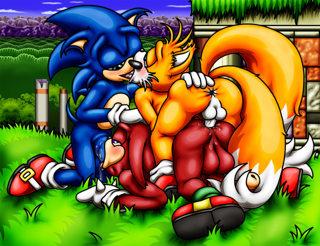 knuckles the echidna+sonic the hedgehog+tails