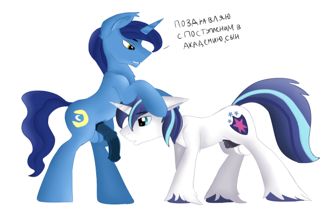 night light (mlp)+shining armor (mlp)