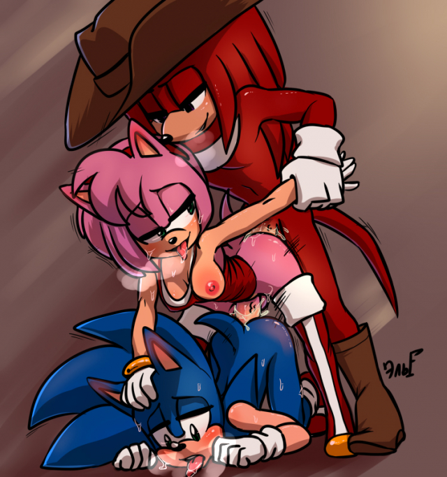 amy rose+knuckles the echidna+sonic the hedgehog