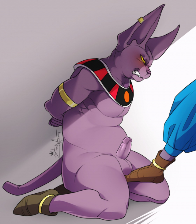 beerus+champa