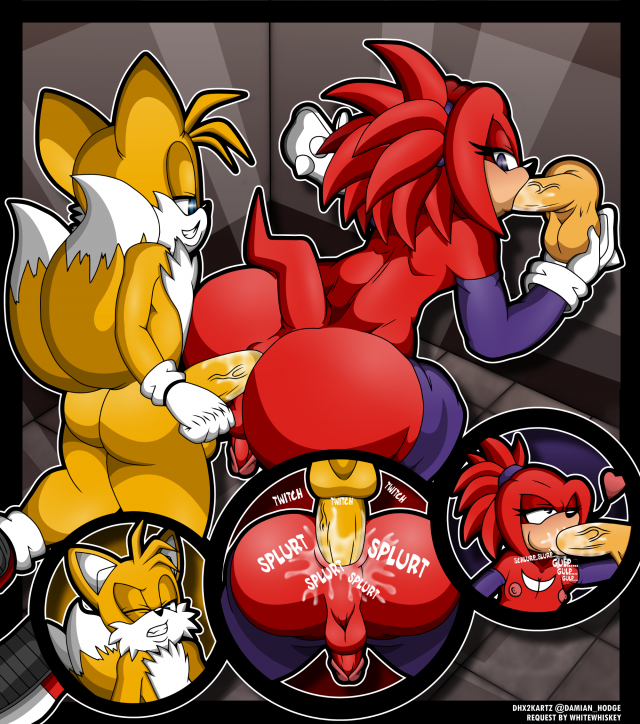 knuckles the echidna+tails