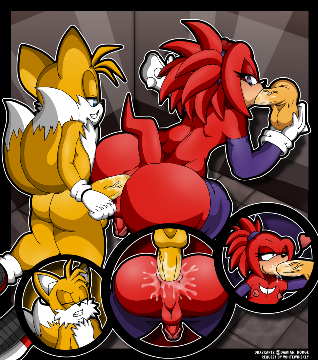 knuckles the echidna+tails