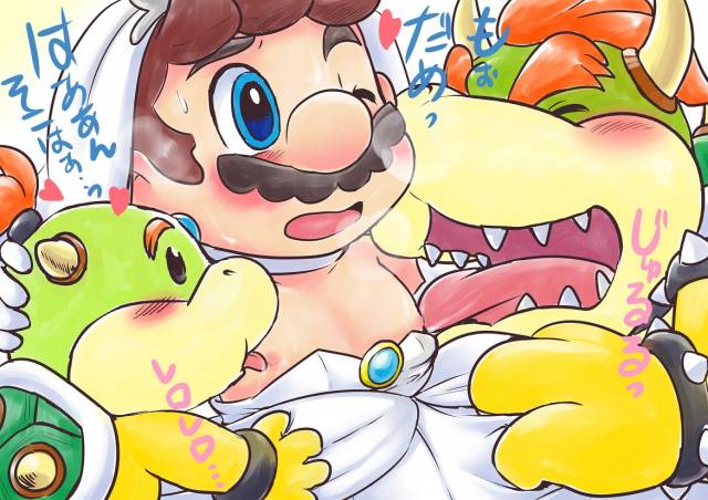 bowser+bowser jr.+koopa+mario