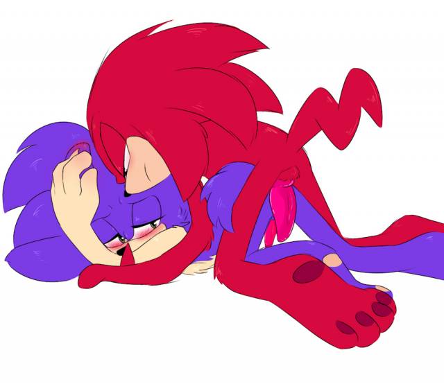 knuckles the echidna+sonic the hedgehog