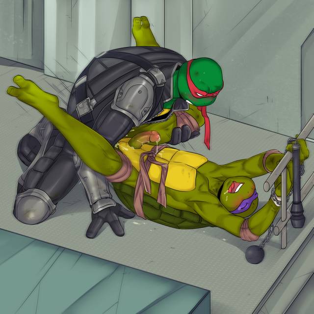 donatello (tmnt)+raphael (tmnt)