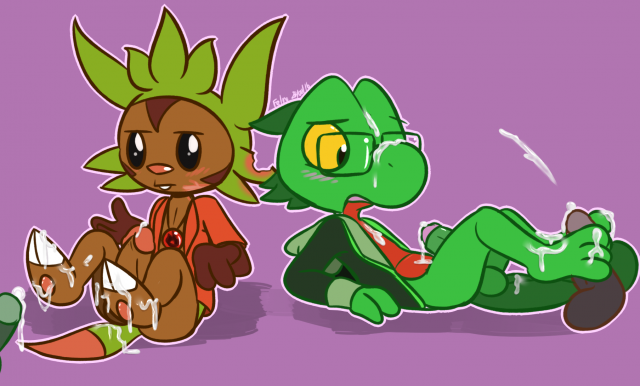 chespin+treecko